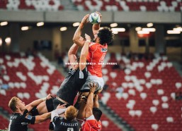 熊猫体育官网-小球迷的梦想之旅，绿茵场上的熟悉面孔