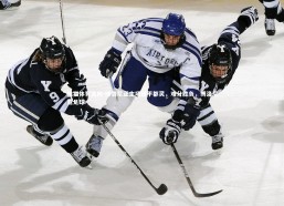 熊猫体育官网-博洛尼亚主场逼平都灵，难分胜负，博洛尼亚足球