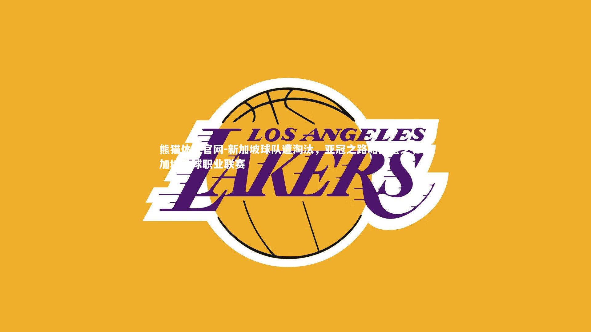 新加坡球队遭淘汰，亚冠之路略显匮乏，新加坡足球职业联赛