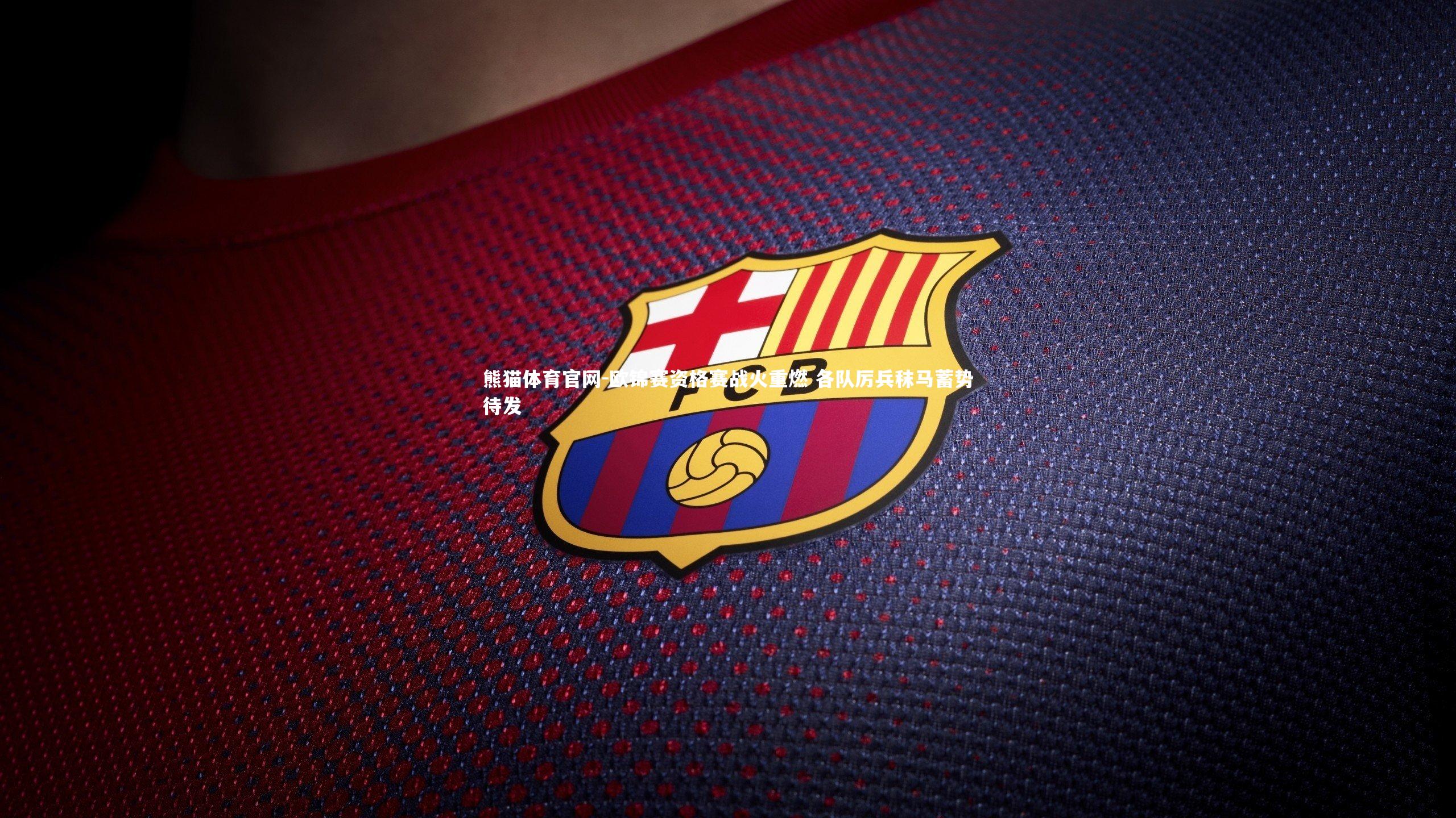 欧锦赛资格赛战火重燃 各队厉兵秣马蓄势待发