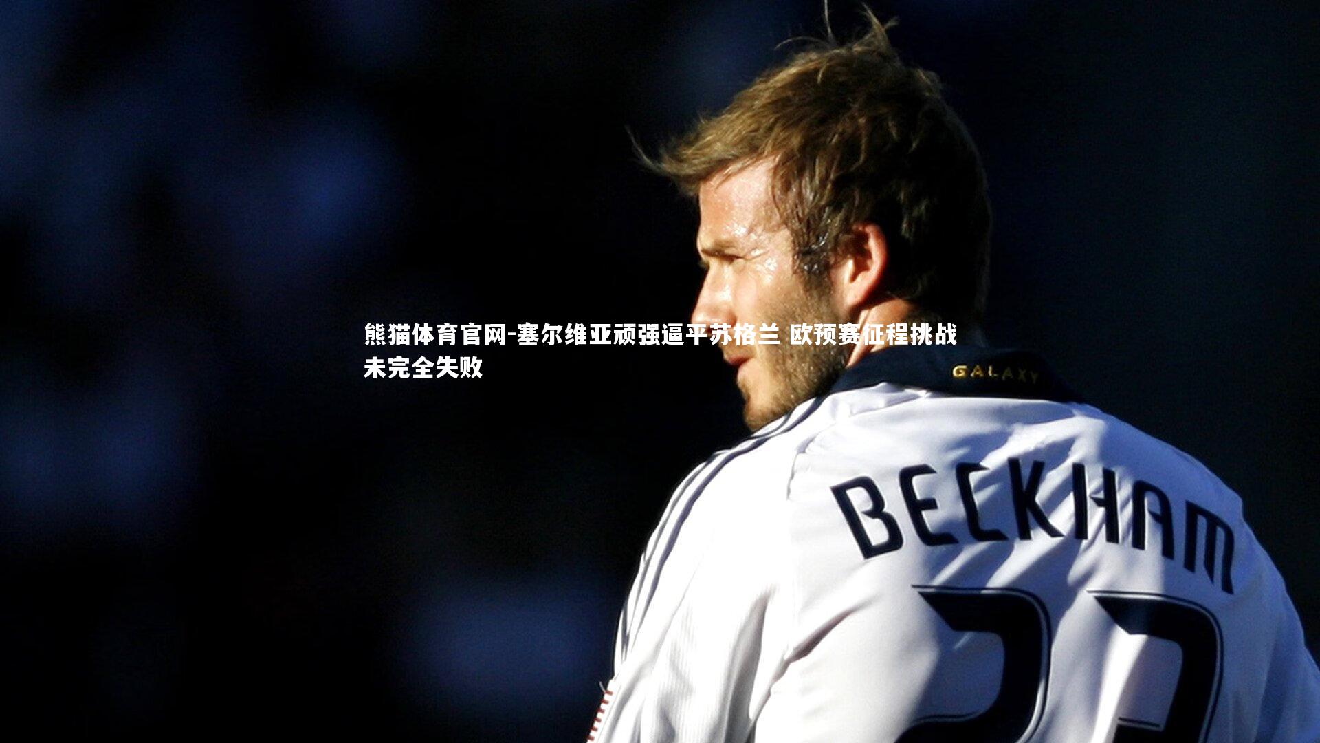 塞尔维亚顽强逼平苏格兰 欧预赛征程挑战未完全失败